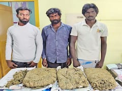 கன்னியாகுமரி மாவட்டத்தில் 13 கிலோ கஞ்சா பறிமுதல் - போலீஸ் விசாரணை