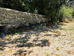 Thames River : ब्रिटनमध्ये उष्णतेची लाट, जलस्रोतांवर मोठा परिणाम, थेम्स नदीचे पात्रही कोरडे