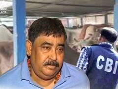 Anubrata Mandal Arrested: গরুপিছু ২০০০ বিএসএফ, ৫০০ কাস্টমস, তাহলে অনুব্রত কত পেতেন, জানতে চাইছেন গোয়েন্দারা