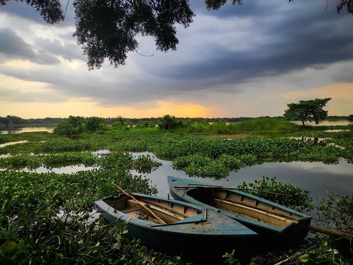 Tamil Nadu Gets Four New Wetlands Ramsar Recognition Including Vaduvur ...