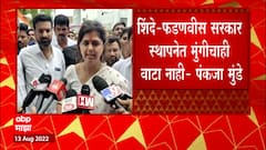 Pankaja Munde : शिंदे - फडणवीस सरकार स्थापनेत माझा मुंगीचाही वाटा नाही, पंकजा मुंडेंचं सूचक वक्तव्य