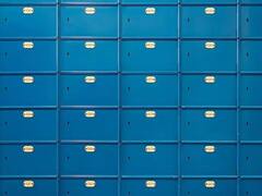 Bank Locker Rules: બેન્કમાં લેવા જઇ રહ્યા છો Bank Locker, તો જાણી લો આ જરૂરી નિયમો