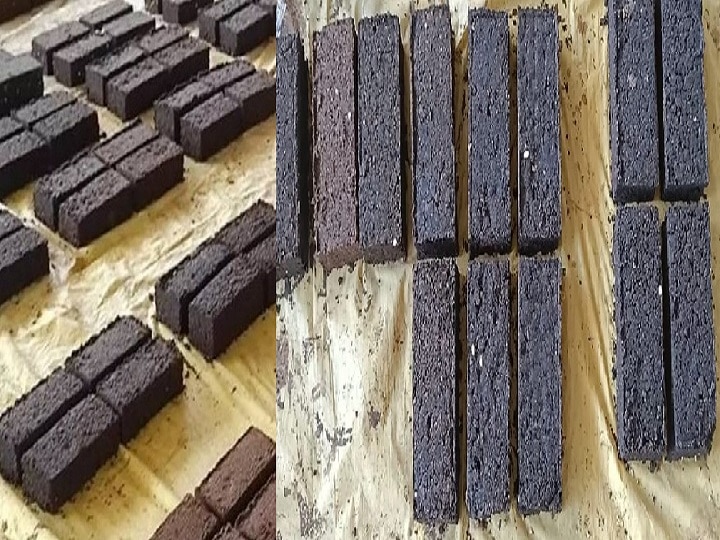 Chocolate for Animals: अजब-गजब! ये वाली चॉकलेट खाकर बाल्टीभर दूध देंगी गाय-भैंस, मवेशियों की भूख के साथ बढेगी दूध की क्वालिटी