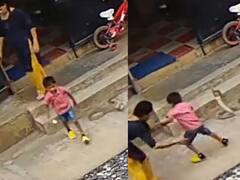 Watch Video: ”தாயை விட பெரிய சக்தி எதுவுமில்ல...” : குழந்தையை விஷப்பாம்பிடம் இருந்து காப்பாற்றும் தாய்... வைரல் வீடியோ..