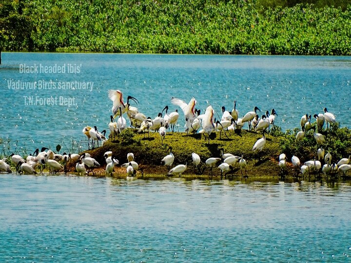 Ramsar recognition : ‘தமிழ்நாட்டில் மேலும் 4 இடங்களுக்கு ராம்சார் சர்வதேச அங்கீகாரம்’ எந்தெந்த இடங்கள் தெரியுமா..?