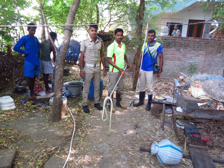 நாகூர் அருகே குடியிருப்பு பகுதியில் புகுந்த 10 அடி நீள சாரைப்பாம்பு -  அச்சத்தில் மக்கள்