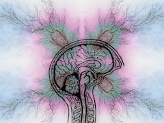 ఫిట్స్ ఎందుకొస్తాయి? రోగి చేతిలో తాళం చేతులు ఎందుకు పెట్టకూడదు? మూర్ఛ వచ్చిన వెంటనే ఏం చేయాలి?