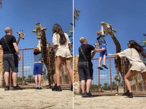 giraffe held kid in air by leaf funny viral video Funny Video: 'ਹਵਾ 'ਚ ਉੱਡਣ ਲੱਗਾ' ਜਿਰਾਫ ਨੂੰ ਪੱਤੇ ਖੁਆਉਂਦਾ ਬੱਚਾ! ਮਾਪਿਆਂ ਨੇ ਪੈਰ ਫੜ ਕੇ ਲਿਆਂਦਾ ਹੇਠਾਂ