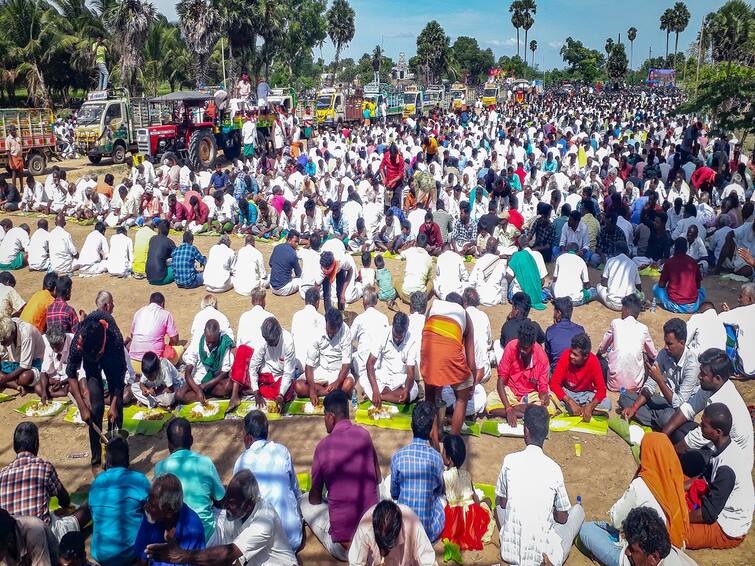 Thanjavur aadi festival celebrated with a grand feast of 1000 goats TNN 1000 ஆடுகள், 100 மூட்டை அரிசி.....ஆண்கள் மட்டும் கலந்து கொண்ட கிடா வெட்டு விருந்து....!