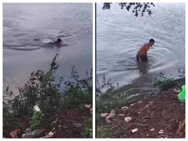 Watch: झील में तैर रहे शख्स पर मगरमच्छ ने किया हमला, वायरल वीडियो में देखिए क्या होगा आगे crocodile attacks on man swimming in a lake and bites his hand viral video on social media Watch: झील में तैर रहे शख्स पर मगरमच्छ ने किया हमला, वायरल वीडियो में देखिए क्या होगा आगे