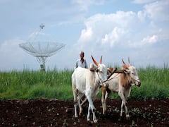 Budget 2023: खेती के मामले में आत्मनिर्भर बनाने के अलावा बजट से कृषि क्षेत्र को और क्या हैं उम्मीदें