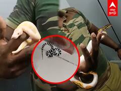 Snake, Monkey Smuggling: கடத்தப்பட்ட பாம்புகள், குரங்கு, ஆமைகள்.. சென்னை விமான நிலையத்தில் பரபரப்பு