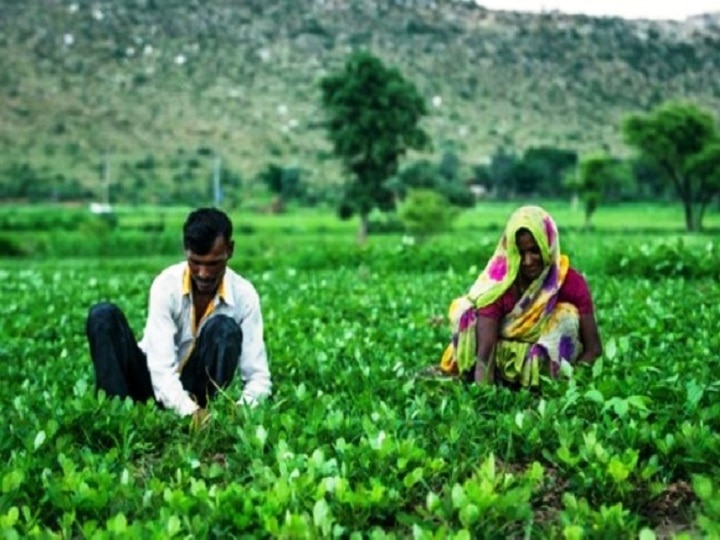 Success Story: दुनियाभर में फेमस हुआ खेती का ये खास फॉर्मुला, अमेरिका, इजराइल और अफ्रीकी किसान भी ले रहे ट्रेनिंग