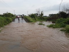 Photo:शेतात जाण्यासाठी रस्ताच नसल्याने तहसीलदारांचे बैलगाडीतून पंचनामे