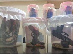 Punjab Police : पंजाब पोलिसांची मोठी कारवाई, चार दहशतवाद्यांना अटक