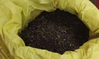 மதுரையில் கஞ்சா கடத்தல்: 8 கிலோ கஞ்சா, 51 ஆயிரம் பறிமுதல்..போலீசார் விசாரணை தீவிரம் !