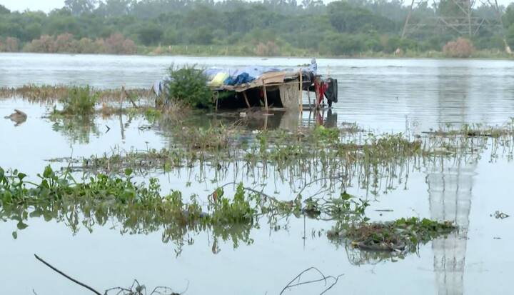 लक्ष्मी नाम की महिला ने कहा कि हम यहीं खुले में रहने को मजबूर हो गए हैं. सरकार की ओर से कुछ भी नहीं किया गया है. सिर्फ पानी की व्यवस्था की गई है. सारी खेती में मारी गई.