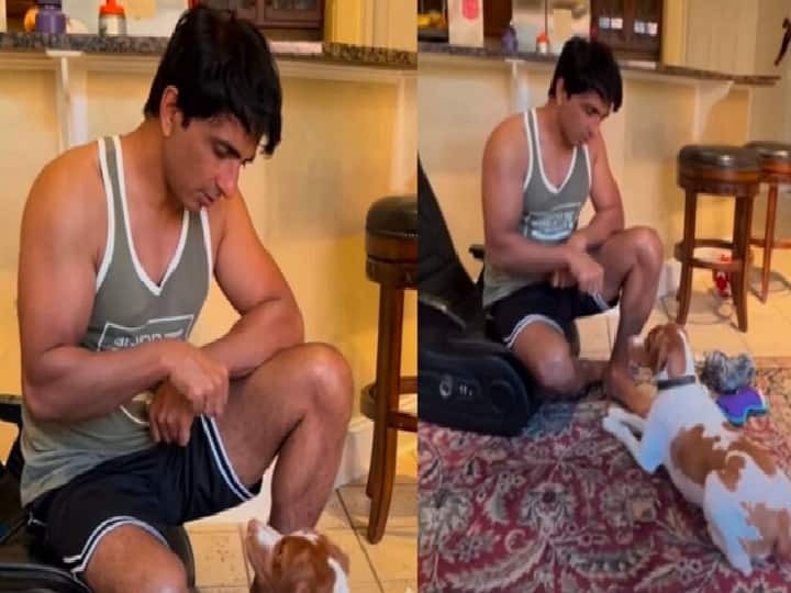 Sonu Sood's pet dog wins heart of netizens சொன்னதை எல்லாம் செய்யும் சோனு சூட் வளர்க்கும் செல்ல நாய்க்குட்டி