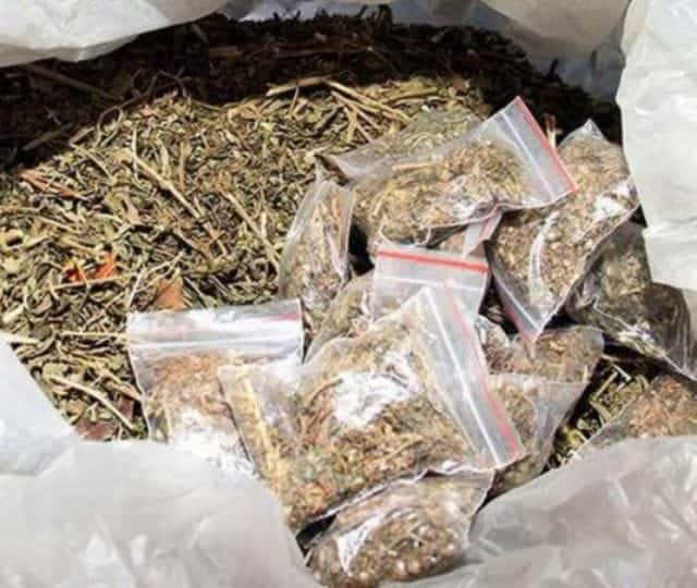 Trichy Police Commissioner Kamini says youth who sold ganja in Trichy was jailed under the  Guntas Act - TNN திருச்சியில் கஞ்சா விற்பனை செய்த இளைஞர் குண்டர் சட்டம் கீழ் சிறையில் அடைப்பு - காவல் ஆணையர் காமினி