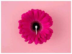 Health News : प्रजनन क्षमता को करना है बूस्ट? इन सब्जियों का करें सेवन