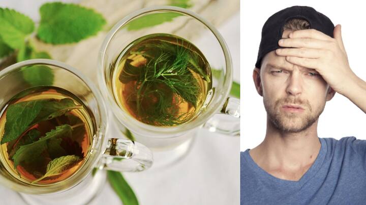 Benefits Of Herbal Tea: খুদে থেকে বৃদ্ধ, চা প্রেমে মজেননি এমন মানুষ অন্তত এ দেশে কমই রয়েছেন। এবার ধরুন, যদি আপনার ভালবাসার পানীয় হওয়ার পাশাপাশি মাথাব্যথার মোক্ষম টোটকা হয়ে ওঠে ওই চা-ই, তা হলে?