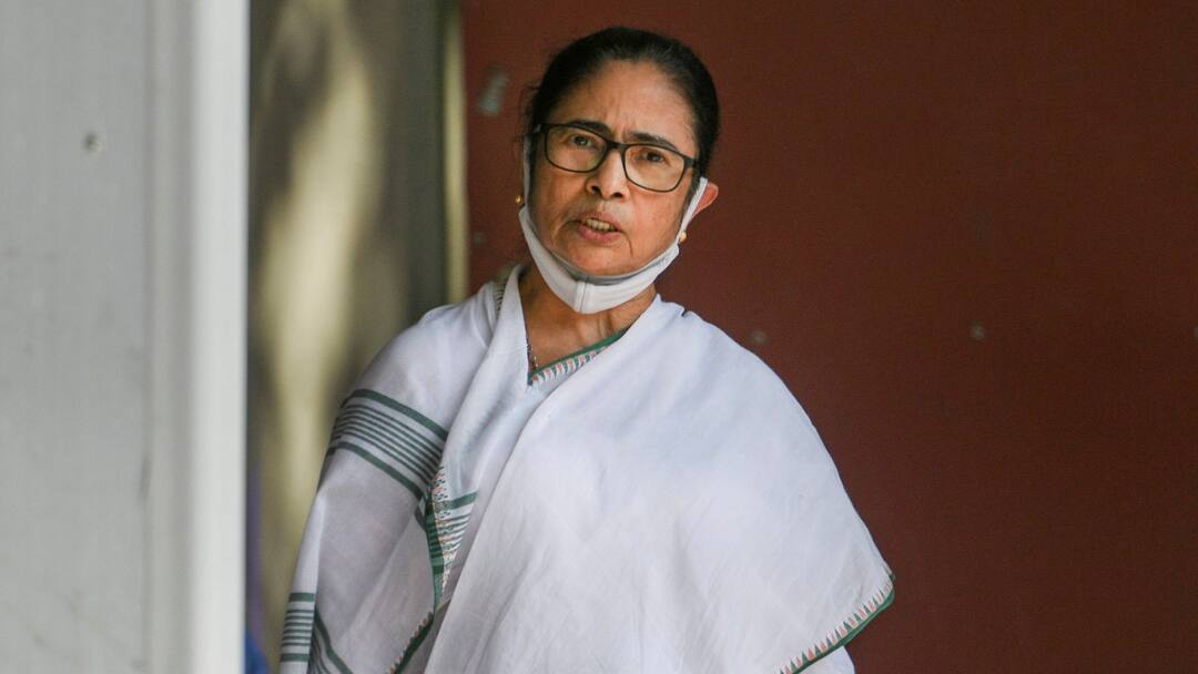 CPM alleging TMC increase in assets of three ministers of Trinamool by releasing documents TMC: তৃণমূলের তিন মন্ত্রীর সম্পত্তির পরিমাণ বৃদ্ধির নিয়ে তরজা, নথি প্রকাশ করে অভিযোগ সিপিএম-এর