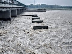 Yamuna River Water Level: యమున కాస్త శాంతించింది, ఇక ప్రమాదం తప్పినట్టేనా?