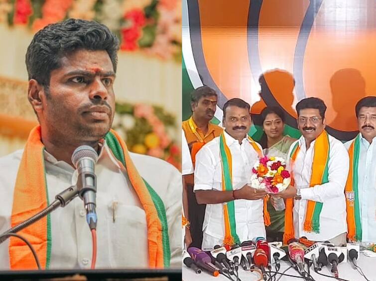 Tamil Nadu BJP leader Annamalai order to Dr. Saranavan expelled from party கட்சியின் பெயருக்கு களங்கம்.. பாஜகவில் இருந்து சரவணன் நீக்கம் -  அண்ணாமலை