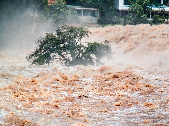 Afghanistan flash floods killed at least 31 people Many Missing Afghan Heavy Rain Afghanistan Flood: தத்தளிக்கும் ஆப்கான்..! கட்டுக்குள் வராத காட்டாற்று வெள்ளம்..! 31 பேர் உயிரிழப்பு..!