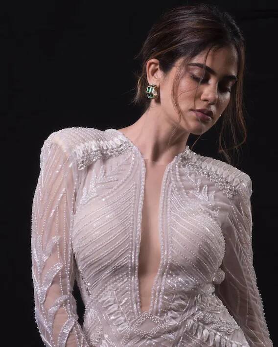 Aditi Pohankar Pics : साड़ी में बेहद खूबसूरत दिखती हैं आश्रम की पम्मी पहलवान, ग्लैमरस फोटो वायरल