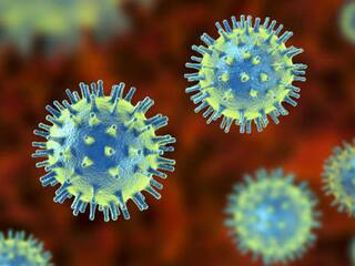 India Coronavirus Case : દેશમાં કોરોનાના એક્ટિવ કેસનો આંકડો ઘટીને થયો એક લાખથી ઓછો, જાણો છેલ્લા 24 કલાકની સ્થિતિ