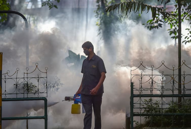 Dengue is increasing concern, the number of infected has increased almost 7 times in one year Dengue Report: উদ্বেগ বাড়াচ্ছে ডেঙ্গি, একবছরে আক্রান্তের সংখ্যা বাড়ল প্রায় ৭ গুণ