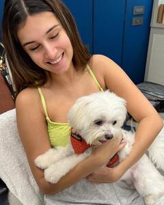 Tara Sutaria Pets: डॉग लवर हैं Tara Sutaria, तस्वीरें देख खुश हो जाएगा आपका दिल