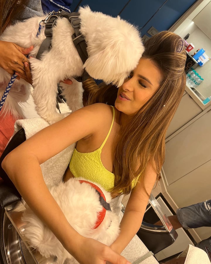 तारा पर्दे पर जितनी क्यूट नजर आती हैं, उससे कई ज्यादा क्यूट वह अपने पालतू कुत्तों के साथ दिखाई देती हैं. डॉग्स के साथ मस्ती करती तारा की ये तस्वीरें सोशल मीडिया पर धड़ल्ले से वायरल होती हैं.