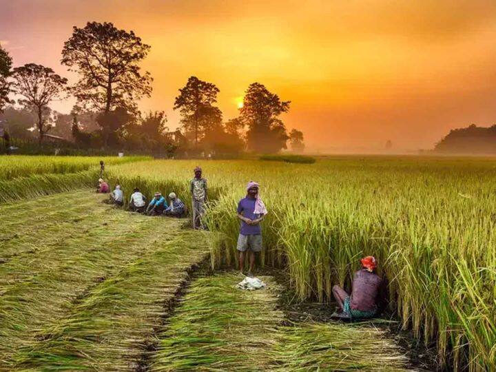 PM Kisan Yojna Scheme: केन्द्र सरकार के कृषि व किसान कल्याण विभाग ने पीएम किसान सम्मान निधि योजना (PM Kisan Samman Nidhi Scheme) का लाभ लेने के लिए KYC अनिवार्य कर दी है. अभी भी कई किसानों ने केवाईसी नहीं कराई है. अगर किसान KYC नहीं कराते हैं तो उन्हें सरकार की ओर से आने वाली 2000 रुपये की किस्त का फायदा नहीं मिलेगा लेकिन अब सरकार की ओर से KYC कराने की डेडलाइन आगे बढ़ा दी गई, जिससे किसान इस योजना का लाभ ले सके.
