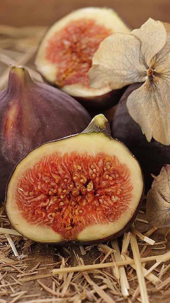 हेल्थ टिप्स: जानिए सूखे अंजीर के फायदे