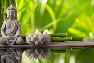 Feng Shui Tips : ২০২৩ ভরে উঠতে পারে সুখ-সমৃদ্ধিতে, যদি নেন এই পদক্ষেপ !