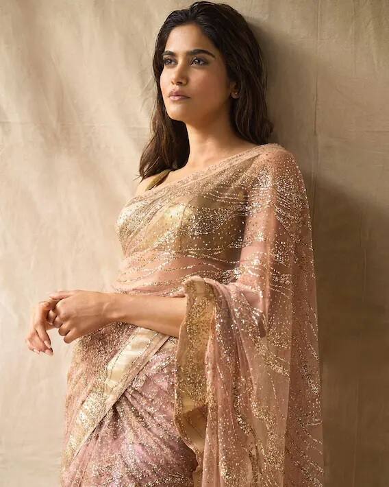 Aditi Pohankar Pics : साड़ी में बेहद खूबसूरत दिखती हैं आश्रम की पम्मी पहलवान, ग्लैमरस फोटो वायरल
