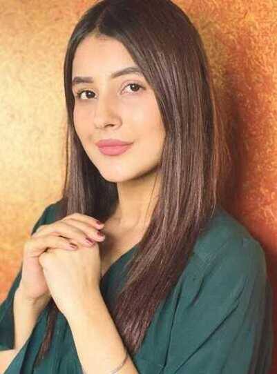 ਸ਼ਹਿਨਾਜ਼ ਗਿੱਲ ਇਸ ਐਕਟਰ ਨੂੰ ਕਰ ਰਹੀ ਡੇਟ? ਭੁੱਲ ਗਈ ਪੁਰਾਣੇ ਗ਼ਮ