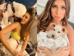 Tara Sutaria Pets: डॉग लवर हैं Tara Sutaria, तस्वीरें देख खुश हो जाएगा आपका दिल