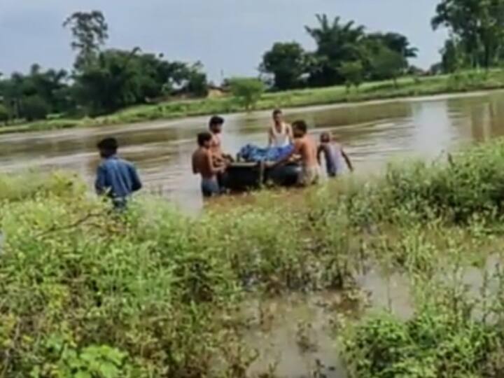 Preliminary report submitted for the month of August crop loss up to 2 lakh hectares Vidarbha Flood : ऑगस्ट महिन्याचा प्राथमिक अहवाल सादर, 2 लाख हेक्टरपर्यंत पिकांचे नुकसान