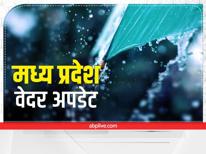 MP News Seven District of Madhya Pradesh witnessing Drought like situation  ANN MP Rain: मध्य प्रदेश के सात जिलों में सूखे जैसे हालात,पांच जिलों में हुई अतिवृष्टि,यहां जानिए कैसा है आपके जिले का हाल