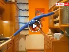Shocking Video: इस लड़की की Flexibility ने इंटरनेट की जनता को दिन में दिखाए तारे! रसोई में ऐसे करती है काम