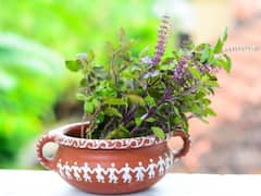 Janmashtami 2022: जन्माष्टमी पर 5 चीजें गलती से भी न करें, कृष्ण पूजा का नहीं मिलेगा फल