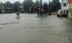 મહેસાણાઃ ઊંઝામાં ભારે વરસાદથી નીચાણવાળા વિસ્તારોમાં ભરાયા પાણી, જુઓ કેવા છે હાલ?