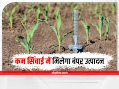 ये फसलें कम बारिश में भी बंपर पैदावार देती हैं, किसानों को हो सकता है ज्यादा फायदा
