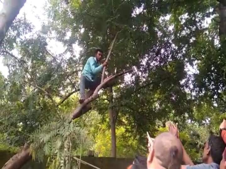 Korba person climbed tree to commit suicide in protest against Municipal Corporation ann Korba News: कोरबा में सुसाइड करने के लिए पेड़ पर चढ़ा युवक, घंटों चला हाई वोल्टेज ड्रामा, मां के कहने पर नीचे उतरा