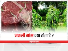 Fake Meat: नकली मांस क्या होता है, यह सेहत के लिए अच्छा है?