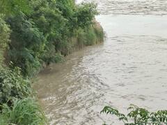 Ayodhya News: पहाड़ों में बारिश के बाद सरयू नदी वार्निंग लेवल से ऊपर पहुंची, सैकड़ों मकानों पर कटान का खतरा मंडराया