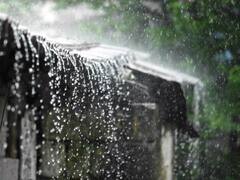 ओडिशा में भारी बारिश से हालात खराब, दीवार गिरने से 4 लोगों की गई जान